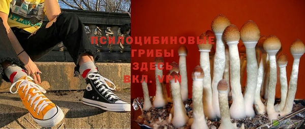 MESCALINE Осинники