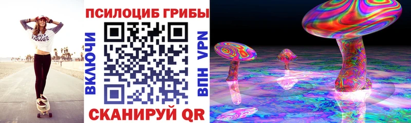 Купить  Шацк  Галлюциногенные грибы мухоморы 