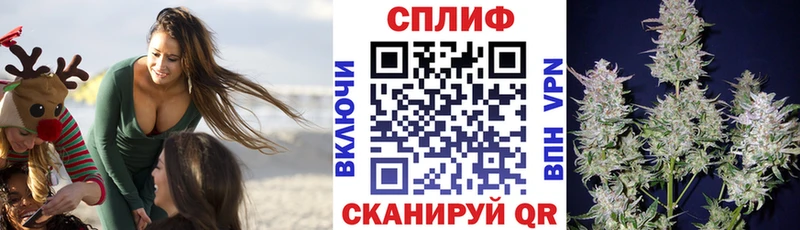 МАРИХУАНА SATIVA & INDICA  Купить где  Шацк 